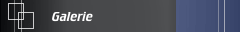 Galerie